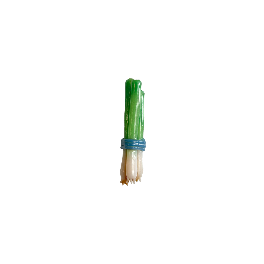 Green Onion Bunch Magnet