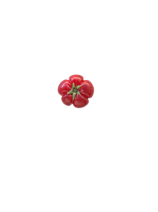 Heirloom Tomato Magnet