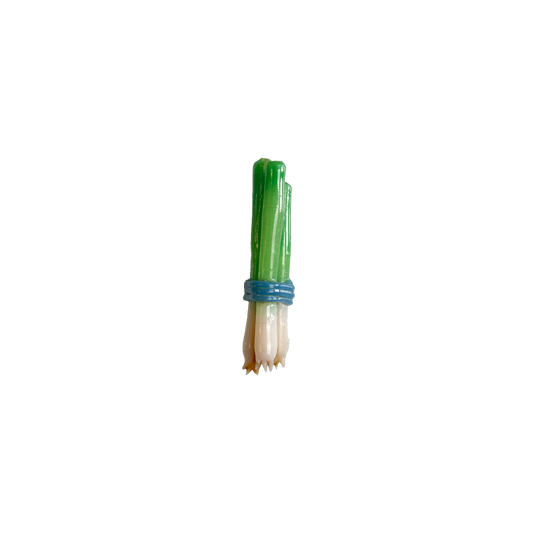 Green Onion Bunch Magnet
