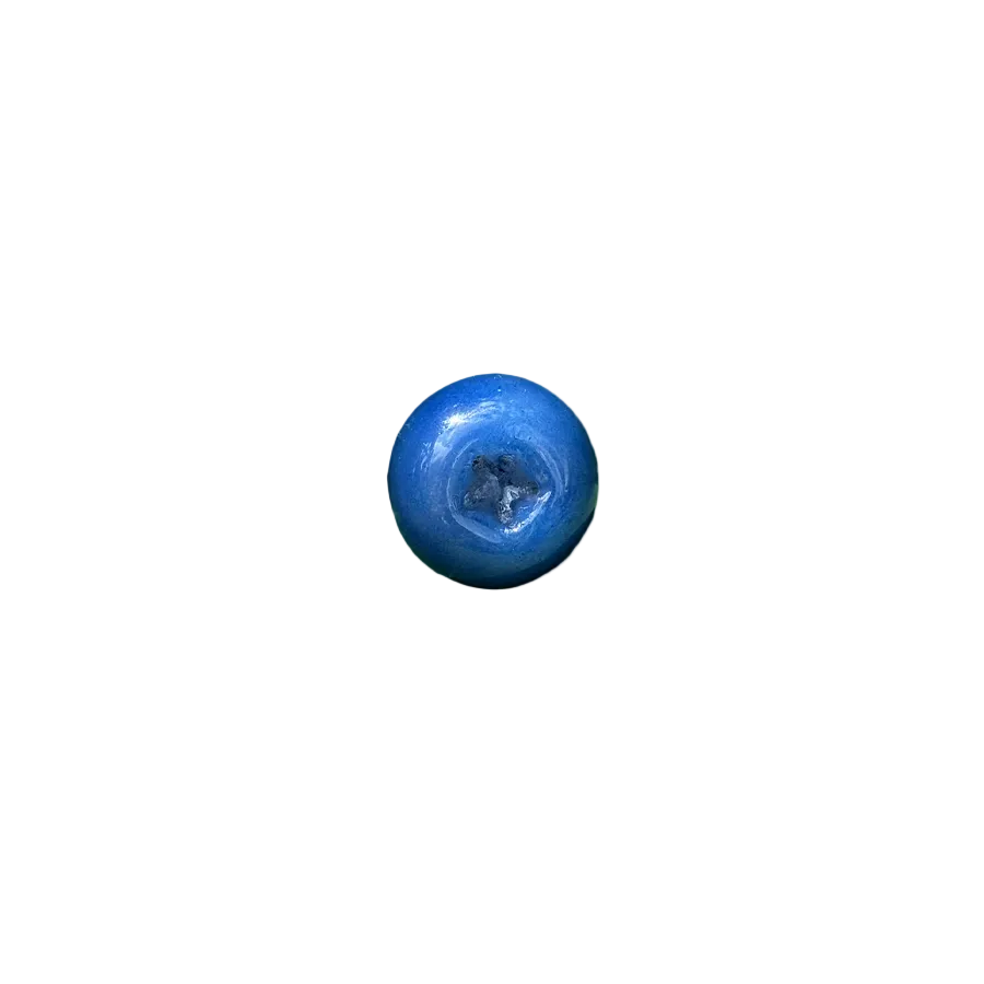 Blueberry